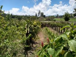 Venda em Área Rural - Estiva