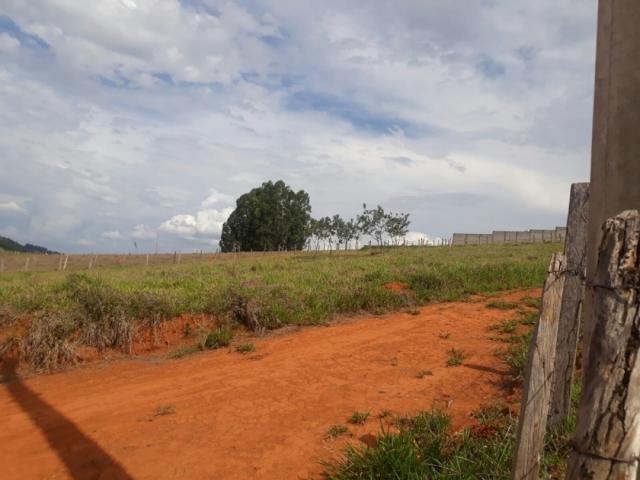 #1600 - Terreno para Venda em Pouso Alegre - MG - 1