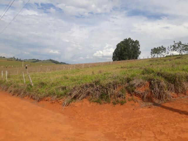 #1600 - Terreno para Venda em Pouso Alegre - MG - 3