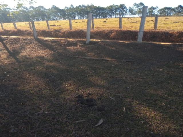 Área para Venda em Pouso Alegre - 5