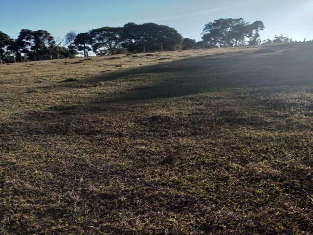 Área para Venda em Pouso Alegre - 4