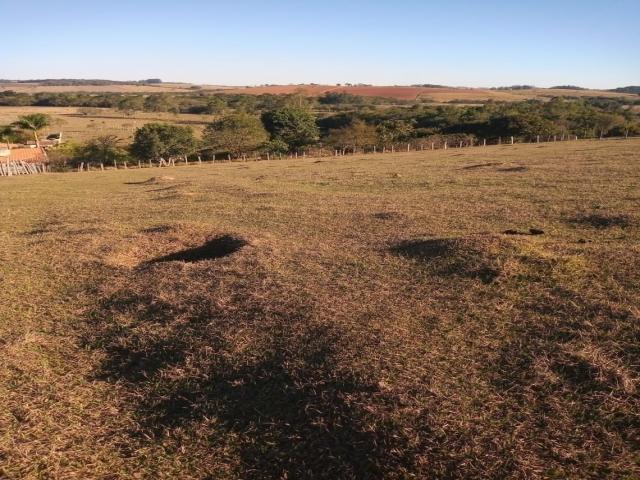 #1632 - Área para Venda em Pouso Alegre - MG - 2