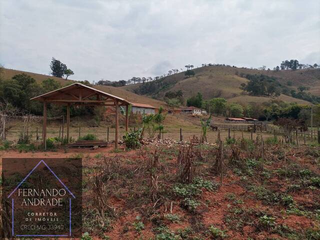 #1881 - Fazenda para Venda em Cambuí - MG - 3