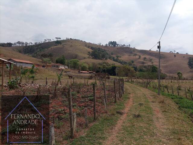 #1881 - Fazenda para Venda em Cambuí - MG - 1