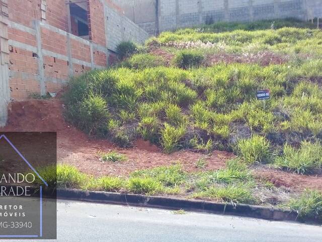 Terreno para Venda em Pouso Alegre - 4