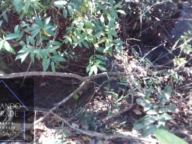 Área para Venda em Pouso Alegre - 5