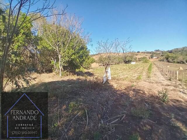 Chácara para Venda em Pouso Alegre - 4