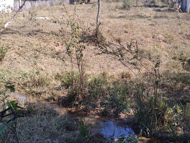 #2175 - Terreno para Venda em Pouso Alegre - MG - 1