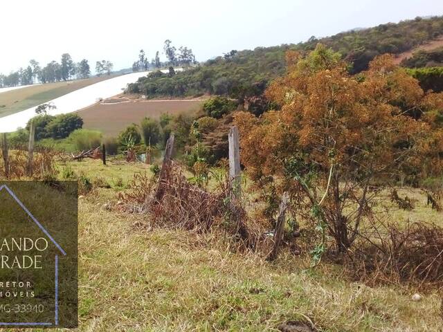 #2503 - Terreno para Venda em Cachoeira de Minas - MG - 3