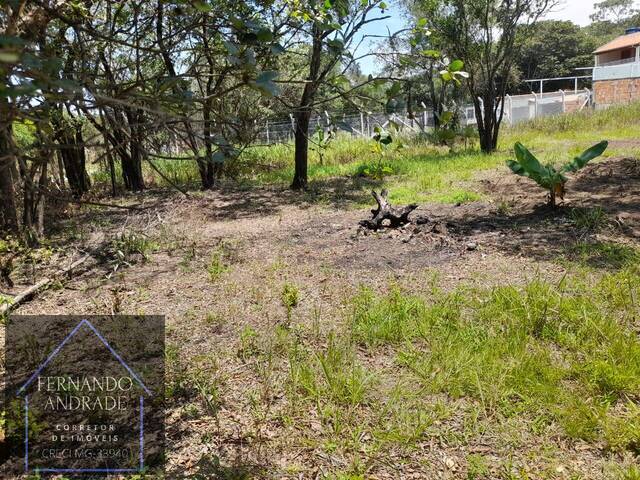 #2547 - Terreno para Venda em Pouso Alegre - MG - 3