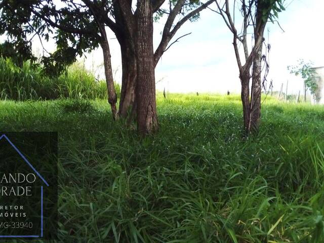 Terreno para Venda em Pouso Alegre - 4