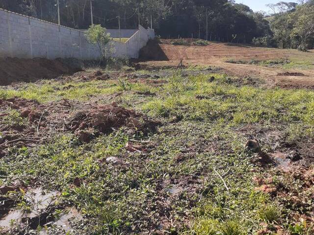 #2599 - Terreno para Venda em Estiva - MG - 2