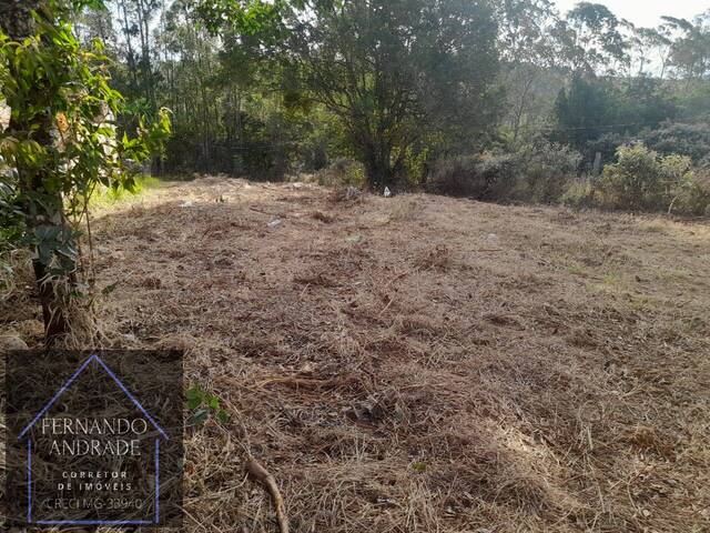 #2554 - Terreno para Venda em Pouso Alegre - MG - 3