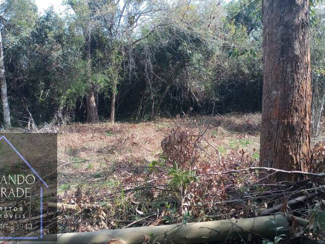 #2720 - Terreno para Venda em São Sebastião da Bela Vista - MG - 1