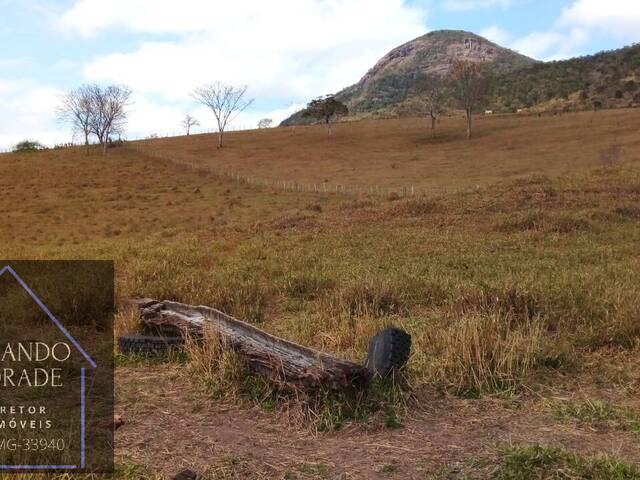 #2715 - Fazenda para Venda em Cachoeira de Minas - MG - 2