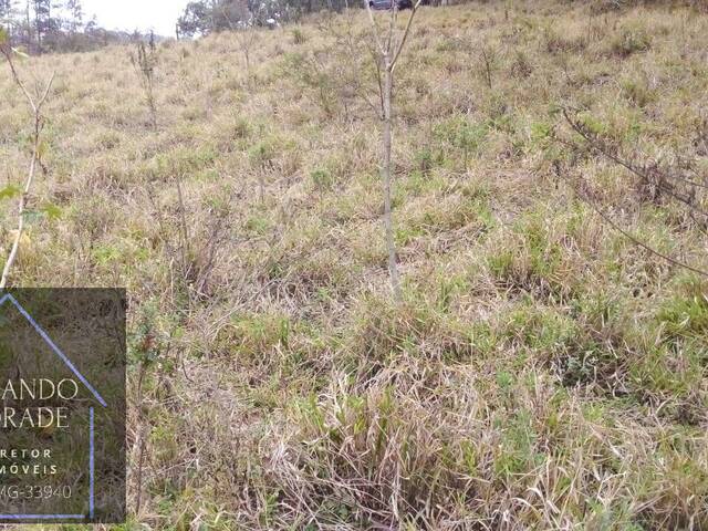 Área para Venda em Cachoeira de Minas - 5