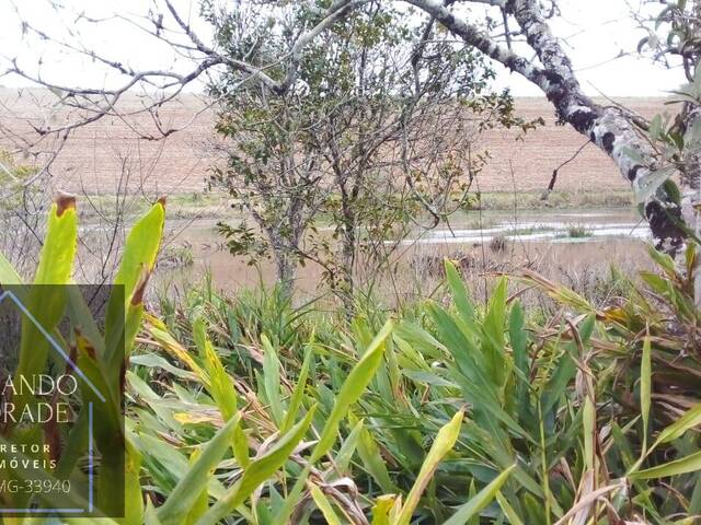 Área para Venda em Cachoeira de Minas - 4