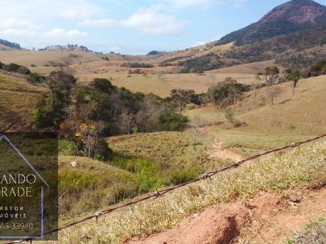 #2714 - Sítio para Venda em Cachoeira de Minas - MG - 2