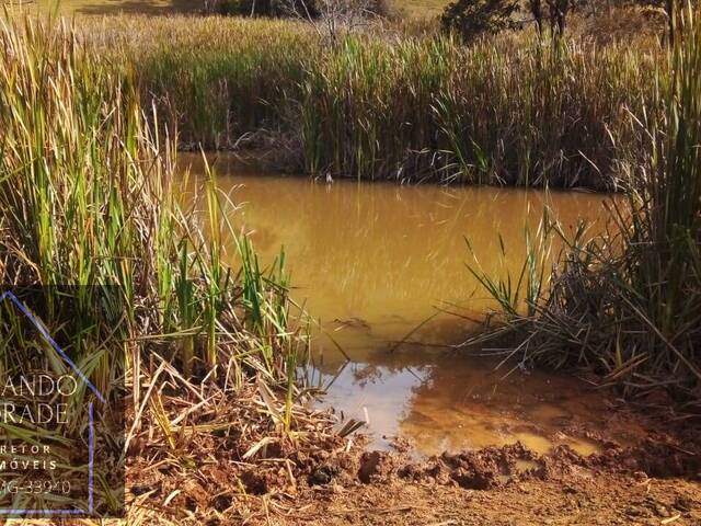 Sítio para Venda em Cachoeira de Minas - 4