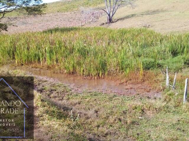 Sítio para Venda em Cachoeira de Minas - 5