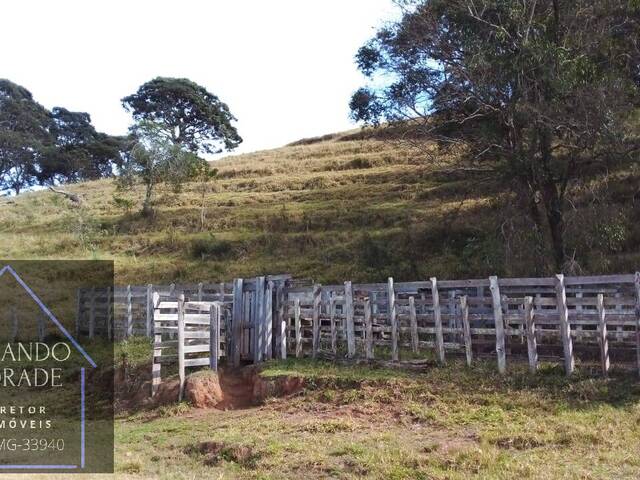 #2714 - Sítio para Venda em Cachoeira de Minas - MG