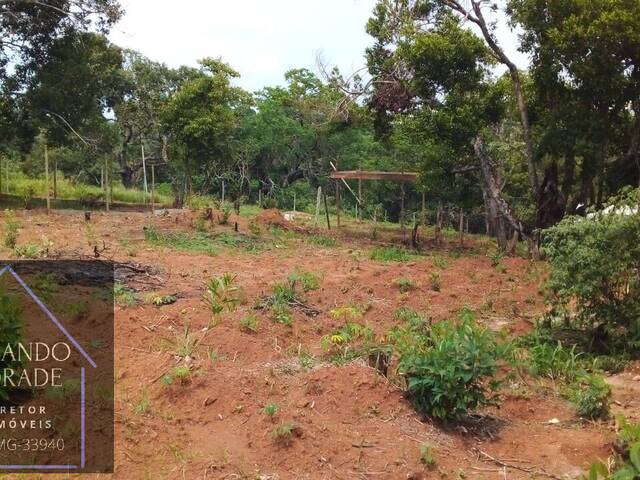 Terreno para Venda em Pouso Alegre - 4