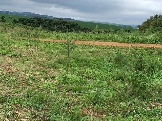 Venda em Campos - Espírito Santo do Dourado