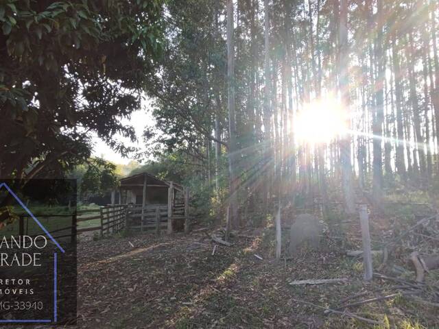 Sítio para Venda em Careaçu - 4