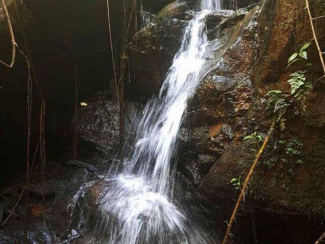 #2839 - Sítio para Venda em Silvianópolis - MG - 1