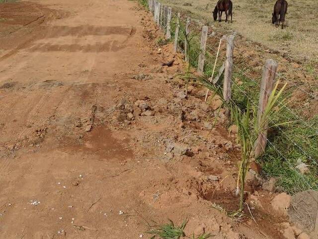 #2849 - Chácara para Venda em Santa Rita do Sapucaí - MG - 3