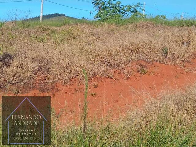 #2874 - Terreno para Venda em Santa Rita do Sapucaí - MG - 2