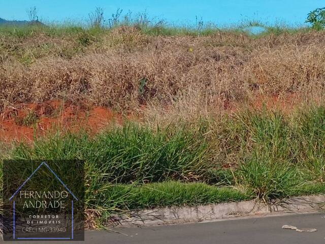 #2874 - Terreno para Venda em Santa Rita do Sapucaí - MG - 3