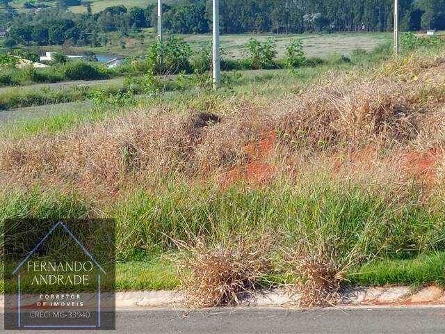 #2874 - Terreno para Venda em Santa Rita do Sapucaí - MG - 1