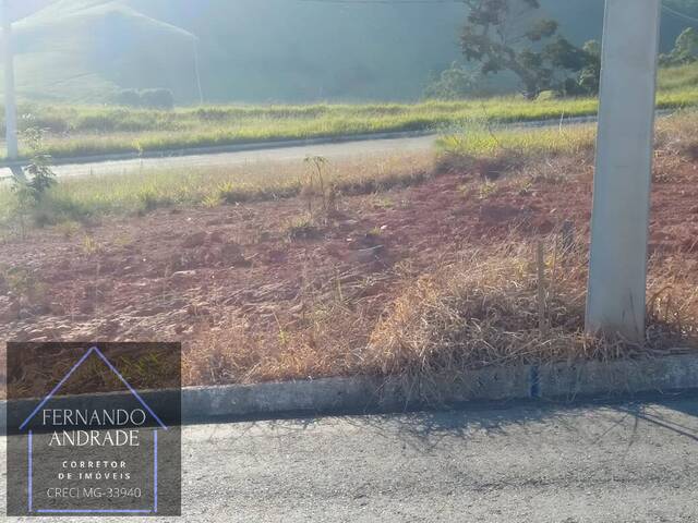 #2875 - Terreno para Venda em Santa Rita do Sapucaí - MG - 1