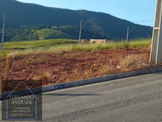 #2875 - Terreno para Venda em Santa Rita do Sapucaí - MG - 3