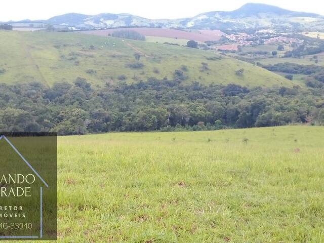 Venda em Ferreiras - Pouso Alegre