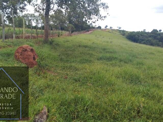 Área para Venda em Pouso Alegre - 5