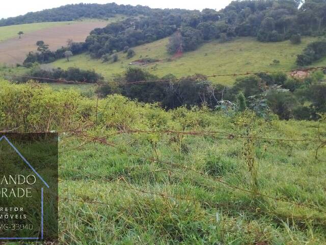 Área para Venda em Pouso Alegre - 4
