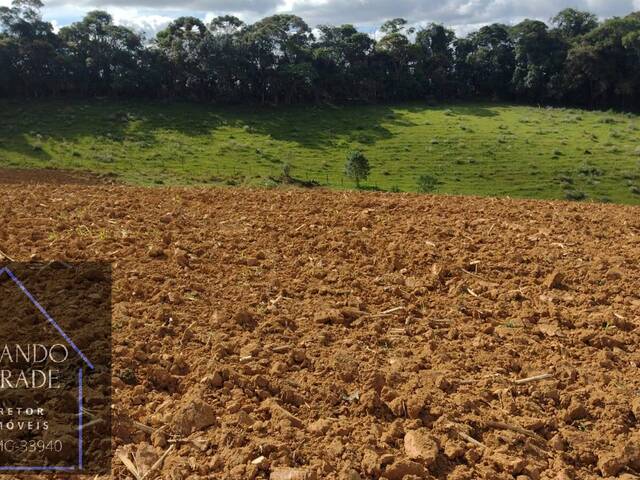 Venda em São Domingo - Congonhal