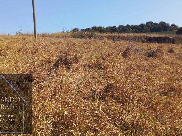Área para Venda em Pouso Alegre - 5