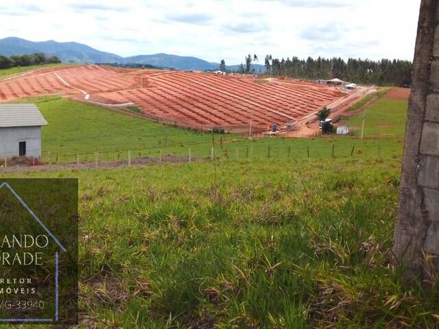 Terreno para Venda em Pouso Alegre - 4