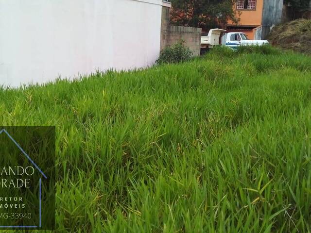 Terreno para Venda em Pouso Alegre - 5