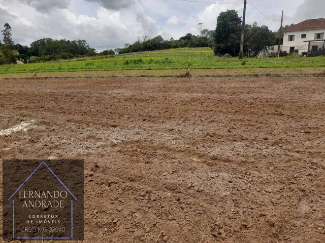 Terreno para Venda em Pouso Alegre - 4
