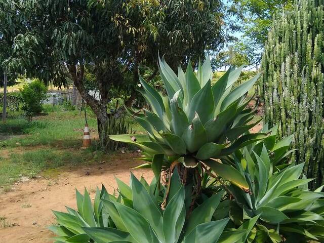 Chácara para Venda em Estiva - 4
