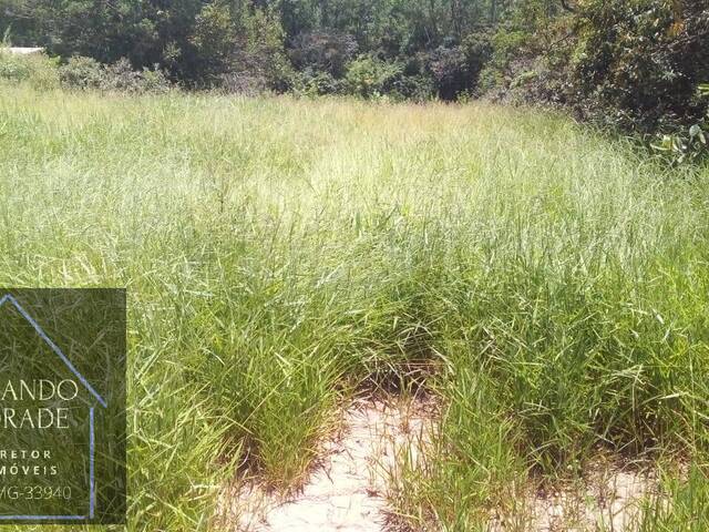 Terreno para Venda em Pouso Alegre - 5