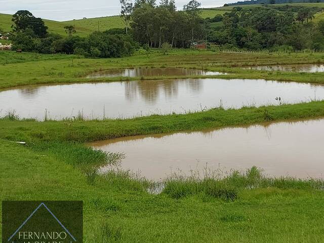 #3046 - Fazenda para Venda em Inconfidentes - MG - 1