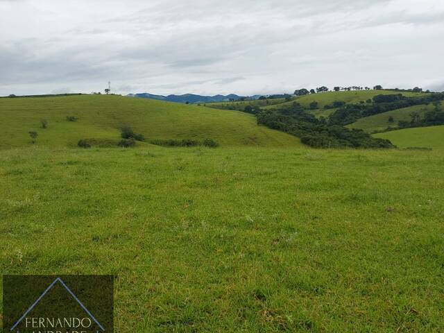 #3046 - Fazenda para Venda em Inconfidentes - MG - 3