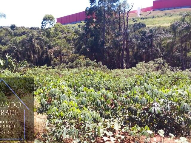 Área para Venda em Pouso Alegre - 4