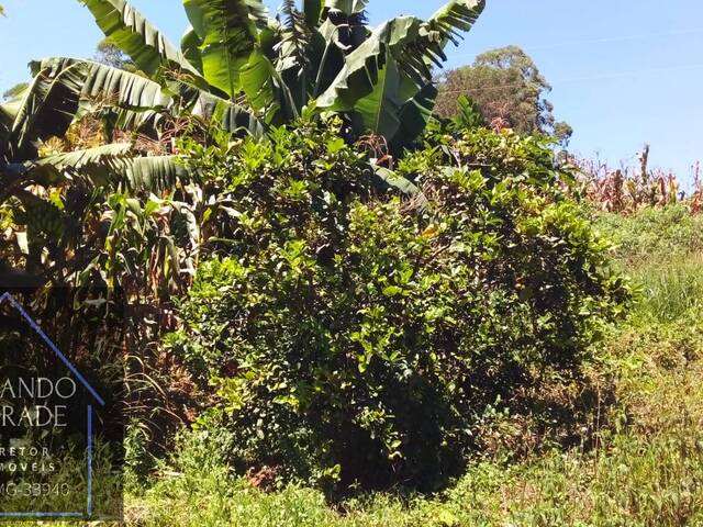 Área para Venda em Pouso Alegre - 5