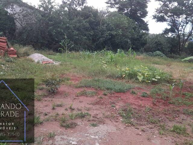 Chácara para Venda em Borda da Mata - 4